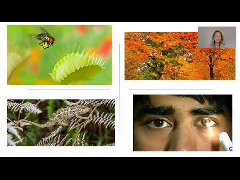 Videó: Melyek a biológia egyesítő témái?