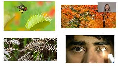 Unifying Themes in Biology and Characteristics of Life