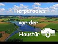 Tierparadies vor der Haustür, Vögel, Tarnzelt, Tiere, Tierdoku, Naturdoku, Tierfilm, Naturfilm,