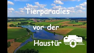 Tierparadies vor der Haustür, Vögel, Tarnzelt, Tiere, Tierdoku, Naturdoku, Tierfilm, Naturfilm,