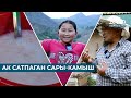 АК САТПАГАН САРЫ КАМЫШ МЕНИН АЙЫЛЫМ ТОКТОГУЛ