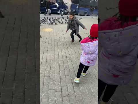        طيور الجنة اكسبلور 