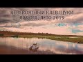 Невероятный клев щуки. Ладога, лето 2019.