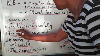 Singular or Plural? Subject-Verb Agreement in Grammar