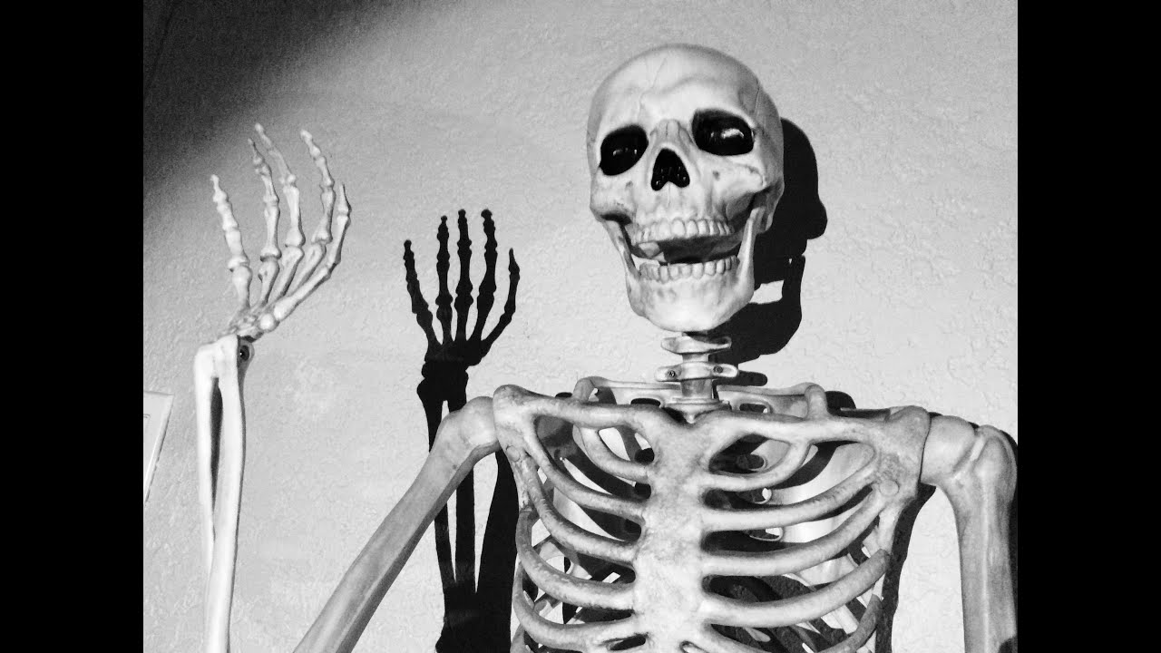 Pose-N-Stay Skeleton | R.I.P. Reviews