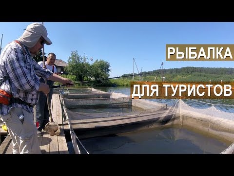 Фермерская форель РыбаLove.