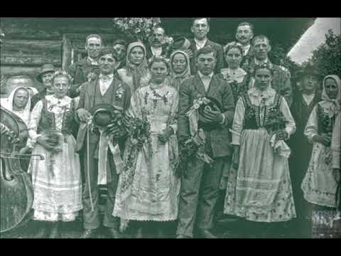 Горіла сосна