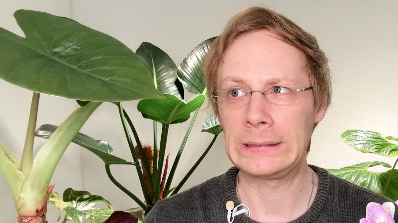 Meine unzerstörbaren Pflanzen 2025 – selbst nach Thrips-Hölle & Rückschnitt!