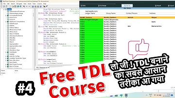 Tally TDL Tutorial 4 - Full Ledger Summary Creation : Quick Method to find Field Name @LearnWell