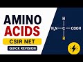 Amino Acids in 10 Minutes | CSIR NET Life Science Quick Revision | Most Important Concepts