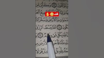 سورة العنكبوت💕 #اكتب_شي_تؤجر_عليه