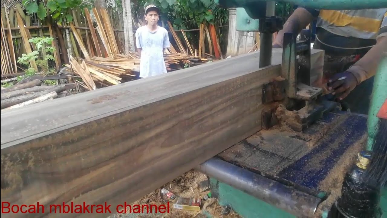  Penggergajian Kayu  jati kering lumayan besar Teak wood 