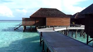 Maldives Honeymoon Packages | Veligandu Island Resort