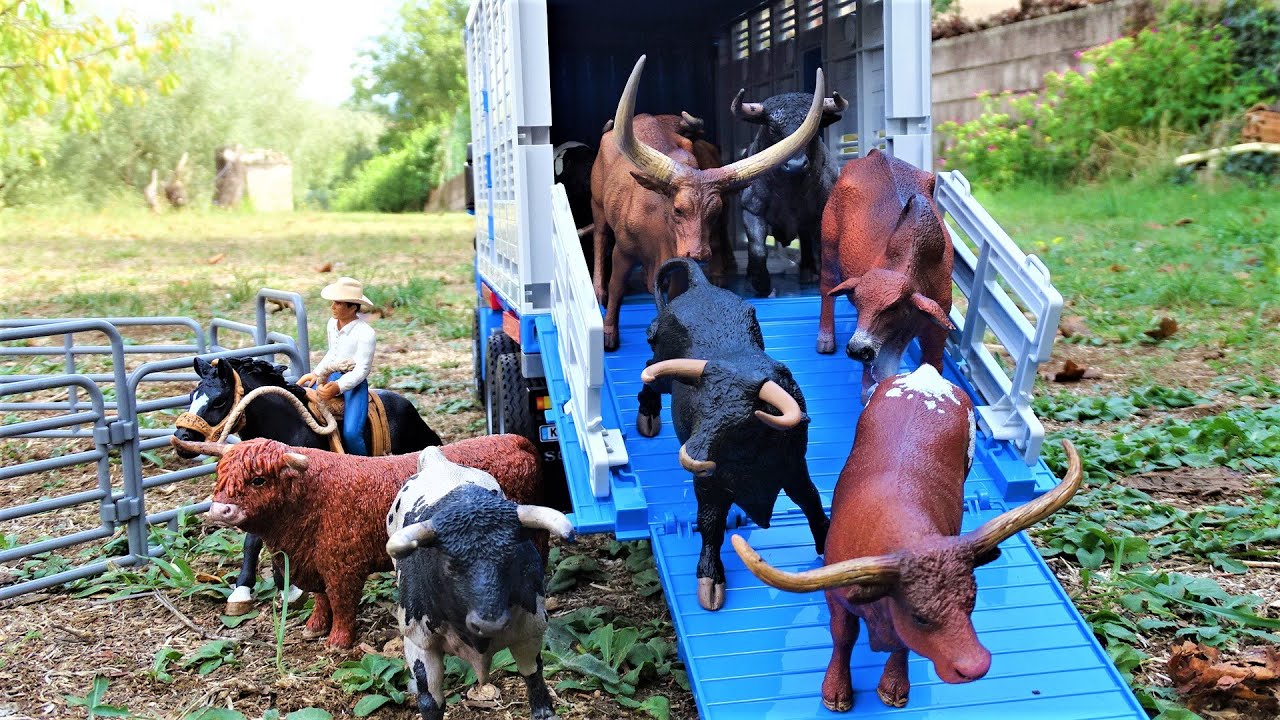 MOVING BULLS/ Touros / STOP MOTION/ Trasporto TORI