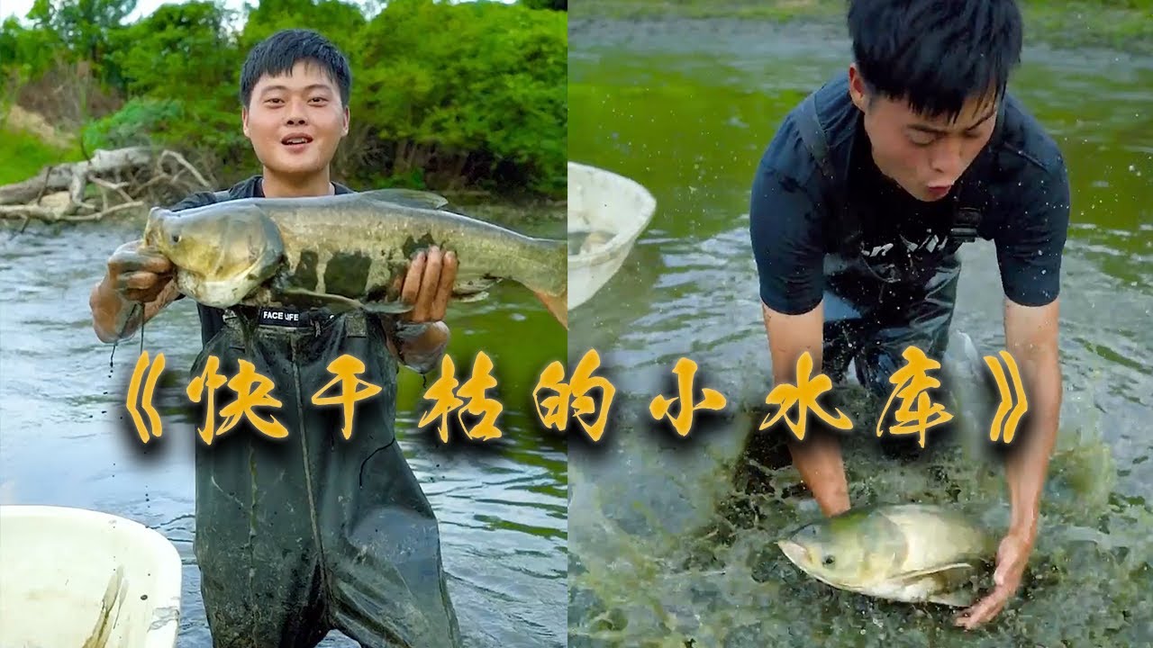 【南豐兄弟捕魚VLOG】花2000快包下一口快幹枯的小水庫,裏面居然這麼多...