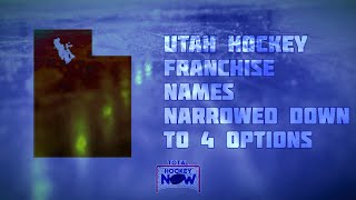 Utah Hockey Franchise Name Finalists Revealed