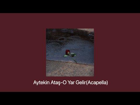 Aytekin Ataş-O Yar Gelir (Acapella)