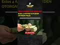 ¡IRS CAMBIA LAS REGLAS! Estos 4 AJUSTES te PUEDEN OTORGAR MILES