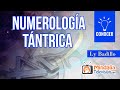 Numerología Tántrica por Ly Badillo
