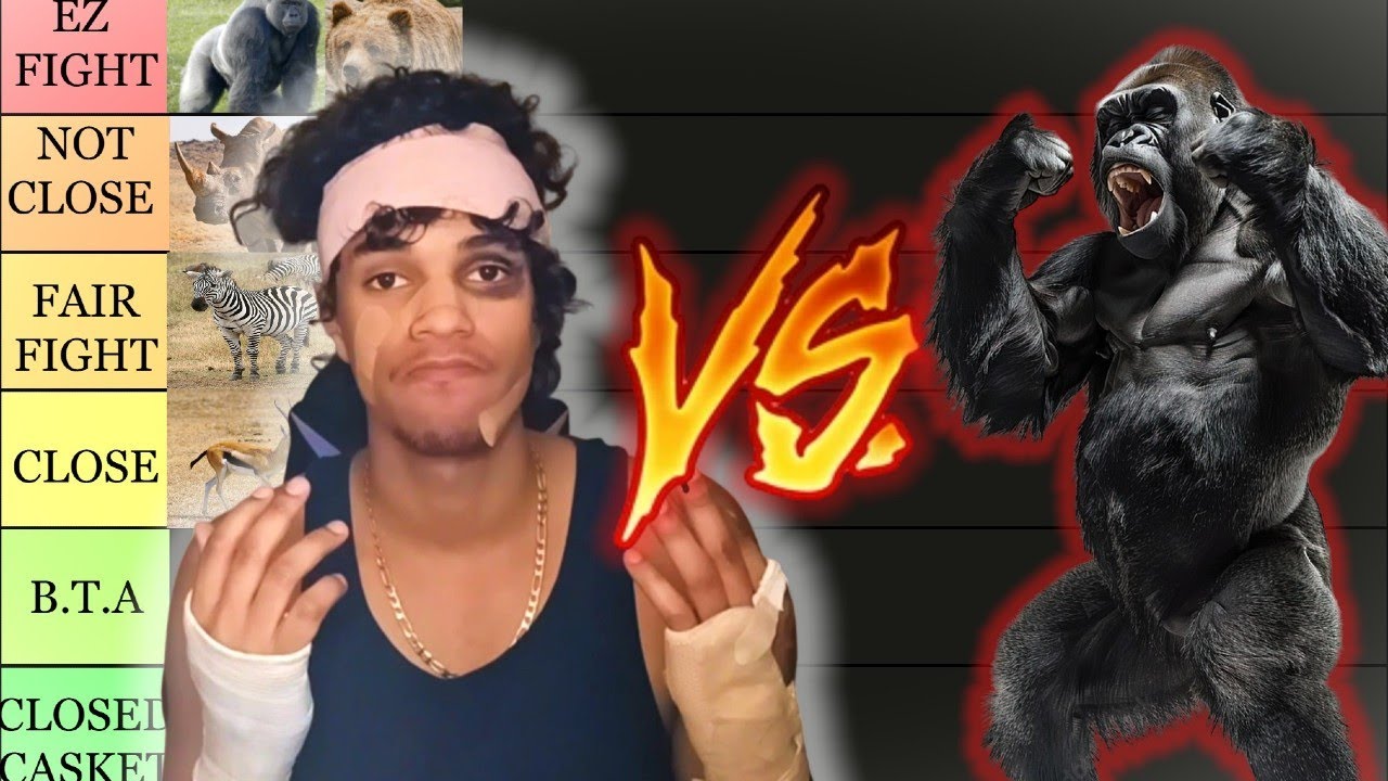 HOW BADLY I WOULD BEAT ANIMALS IN A FIGHT?