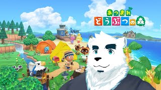 【あつ森】あつまれ...？おれはソロだ【端白もがみ】