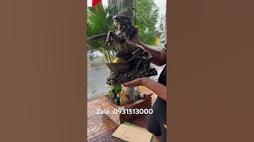 Ngựa đồng #đồcổcầnthơ #phongthuy #dogothuhuyen #đồcổ