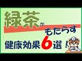緑茶がもたらす健康効果6選!【内科医が解説】
