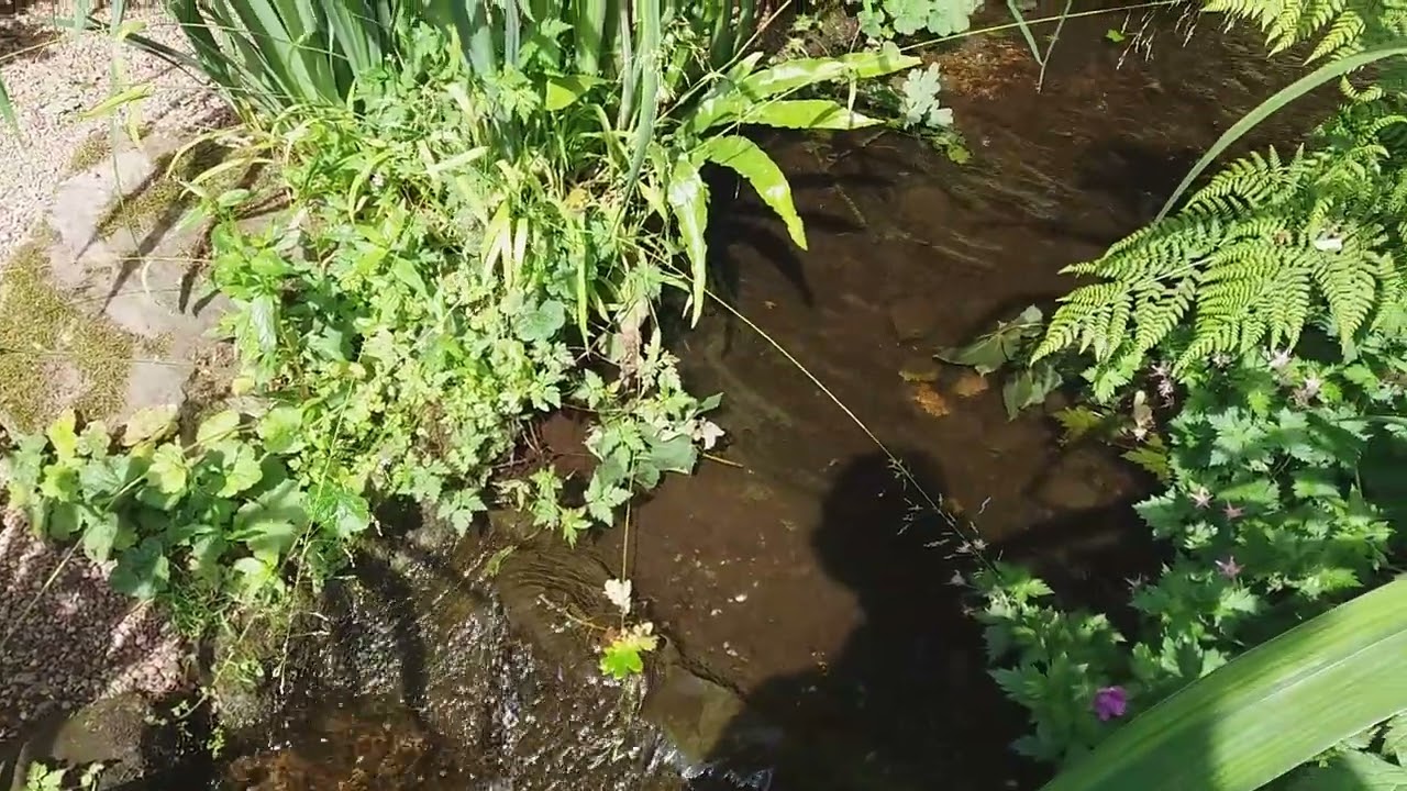 WATERFALL - CALMING & RELAXING - SUNDAY REPLAY