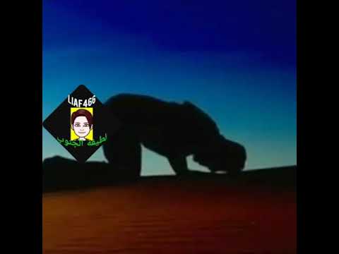 لطيفه الجنوب 28