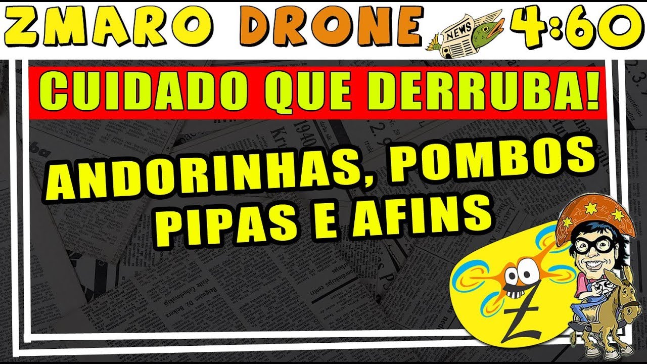 dicas de voo fsx Cuidado com Pombas, Andorinhas, Pipas e afins que podem derrubar seu drone em 4:60 com Zmaro