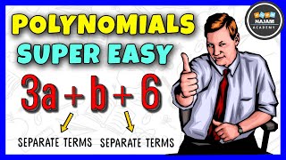 Details Polynomials | Math News