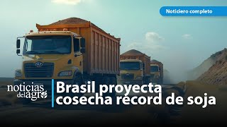 Brazil's soybean harvest in 2025 will break records