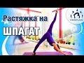 ПРОДОЛЬНЫЙ ШПАГАТ / Растяжка - ИНТЕНСИВ / The Splits Stretches