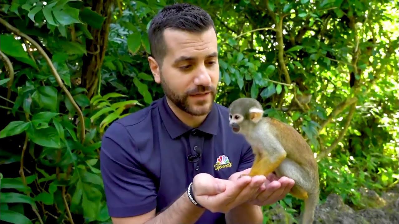 Exploring Monkey Jungle Miami, Florida YouTube