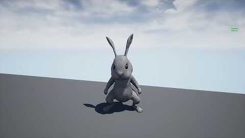 Rabbit Character. Locomotion (Unreal Engine)