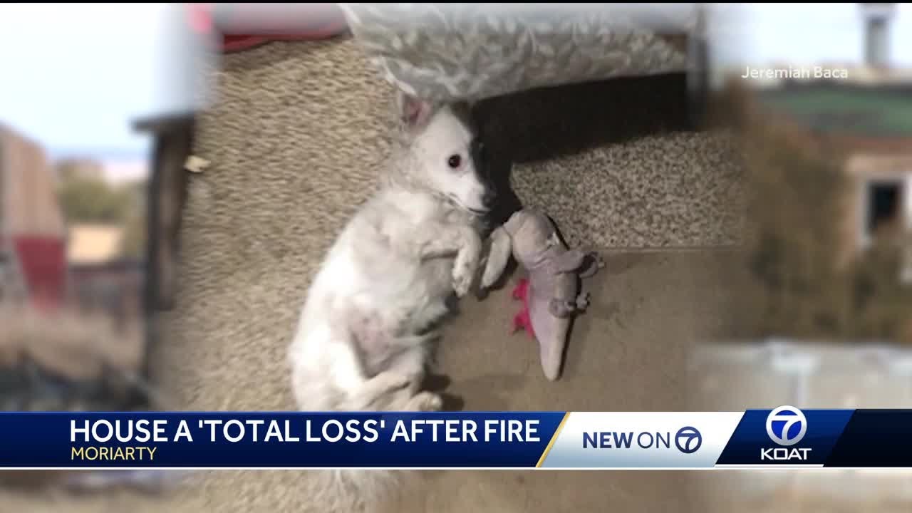 Dog saves family from house fire in Moriarty - YouTube