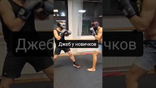 тренировка новичков - работа джебом #бокс #братислава #тренировка #новичок #тренер #джеб #boxing