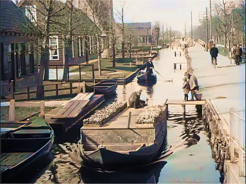 The wonderful town of Aalsmeer, capital of the Dutch flower trade in 1930 in color [A.I. colorized]