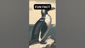 The Great Auk #shorts #facts #sixsecondfact