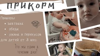 VLOG | ПРИМЕРЫ МЕНЮ РЕБЁНКА ОТ 7-8 месяцев | ЧТО МЫ ЕДИМ ? | ПРИКОРМ