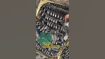 Cạm 9 đánh chuột đồng chuột thịt siêu hiệu quả