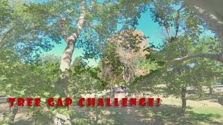 Tree Gap Challenge #TokenChallenge, #teamrelentless, #WestCoastFPV