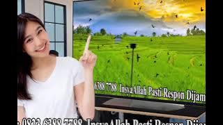 Awi Club Indonesia Guru Konsultan Walet, Ahlinya Suara Walet, Rajanya Editor.