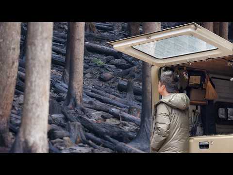 【車中泊の旅】日本最大規模の山林火災のその後 | 岩手県大船渡市 EcoFlow DELTA3 Plus