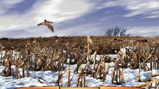 Wing Shooting Championship V1.00 (Sammy USA Corporation 2001)  Attract Mode 60fps screenshot 3