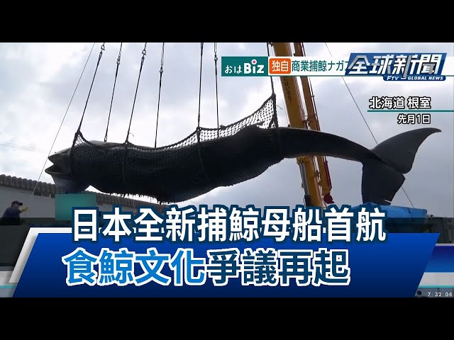 【民視全球新聞】日本全新捕鯨母船首航 「食鯨文化」爭議再起 2024.05.26