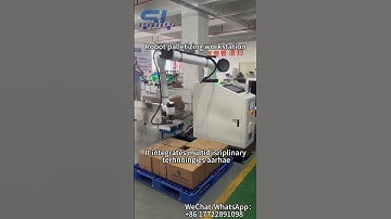 The Ultimate Palletizing Robot Guide: Boost Efficiency & Cut Costs​#palletizingrobot , #robotics