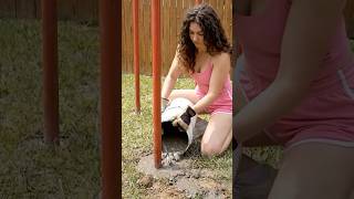 Old Tyre 🛞 + Cement 🧱 Se Amazing Garden Plant Pot 🌱 | DIY Home Decor Idea ✨