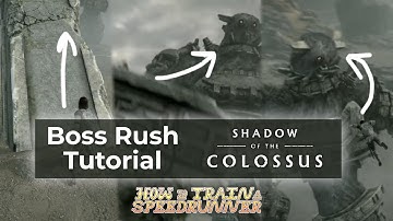 How To Train A Speedrunner - Shadow of the Colossus