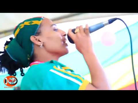 ዙልፋ ከማል የፍቅር የመውደድ ዘፈን ነው